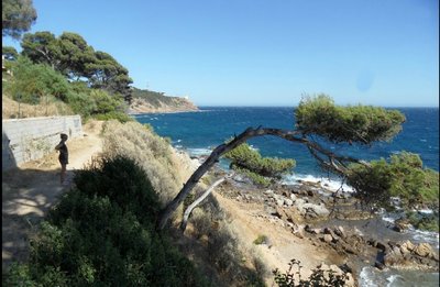 Corniche d'Or 83430 SAINT MANDRIER.jpg