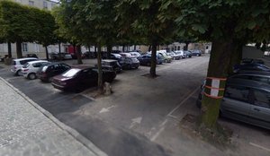 'avoine-02.jpg (73.66 Kio) Vu 19453 fois De nos jours