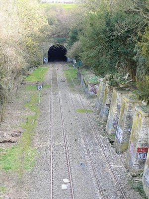 Petite Ceinture Le Tunnel des Buttes.jpg