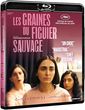 Commander ce DVD sur Amazon