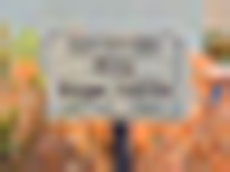 Zoom image VHS (352x288) Zoom image VHS (352x288)